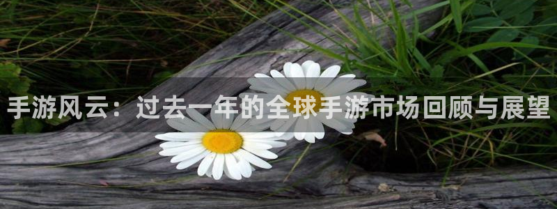 多彩娱乐平台官网入口：手游风云：过去一年的全球手游市场回顾与