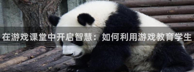 多彩娱乐官方平台：在游戏课堂中开启智慧：如何利用游戏教育学生